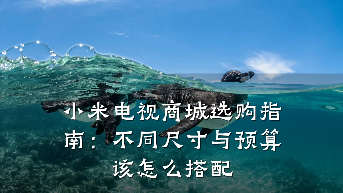 小米电视商城选购指南：不同尺寸与预算该怎么搭配