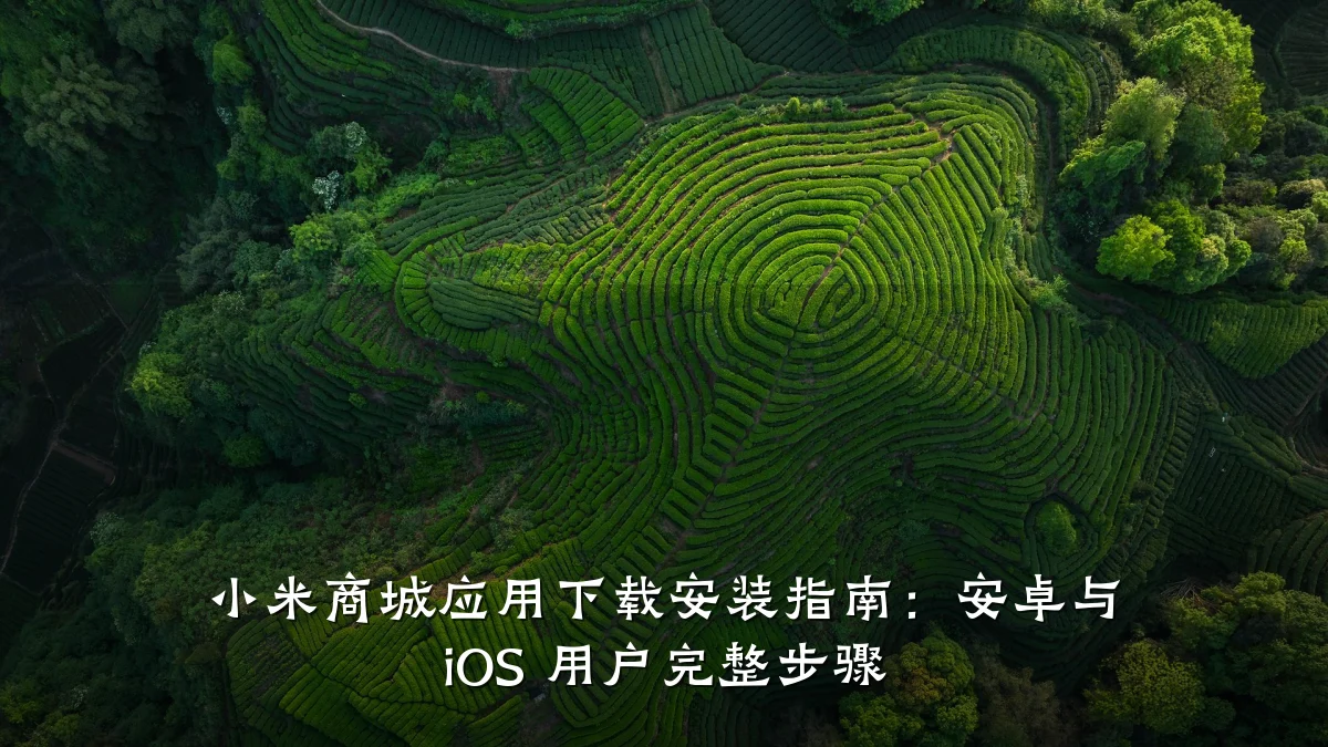 小米商城应用下载安装指南：安卓与 iOS 用户完整步骤