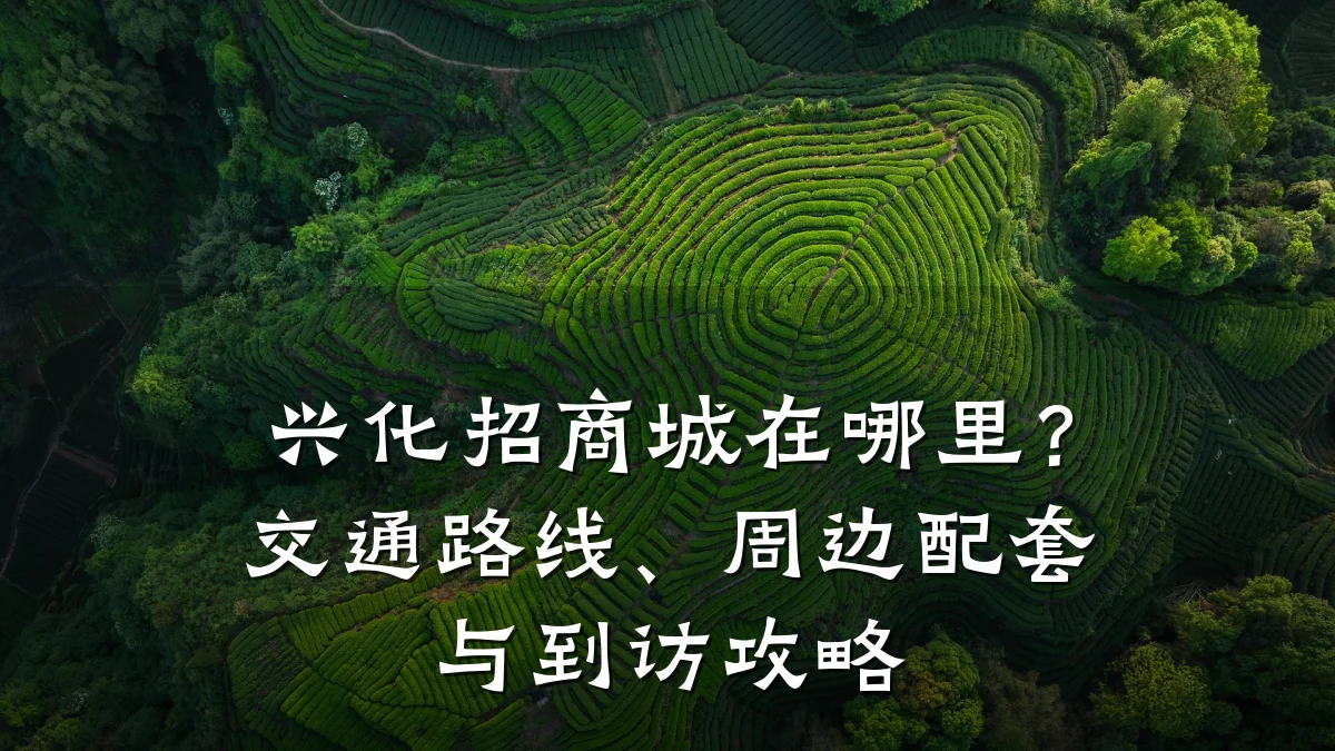 兴化招商城在哪里?交通路线、周边配套与到访攻略