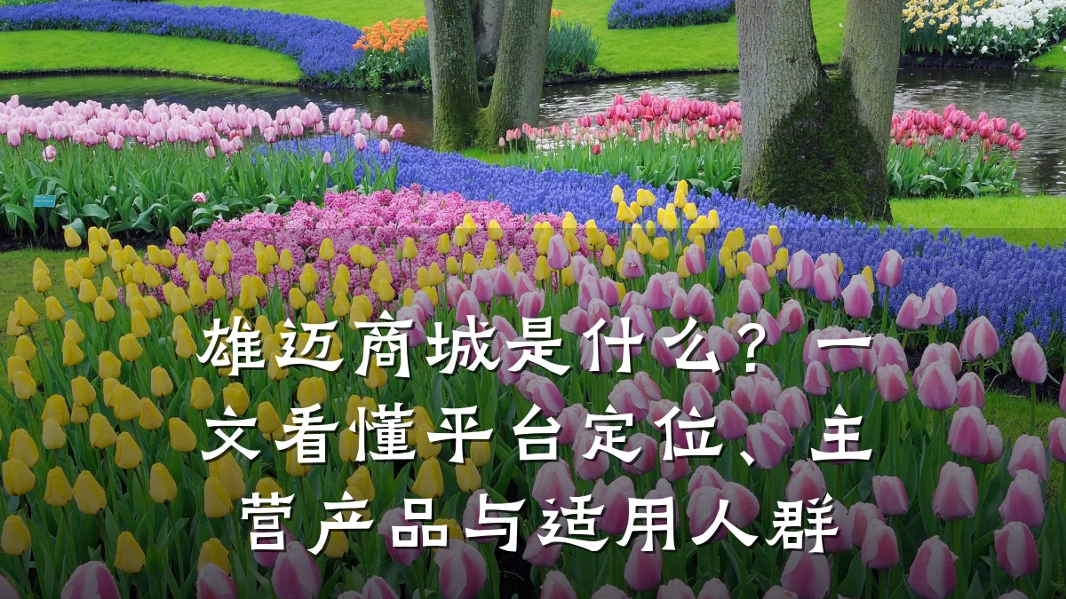 雄迈商城是什么?一文看懂平台定位、主营产品与适用人群