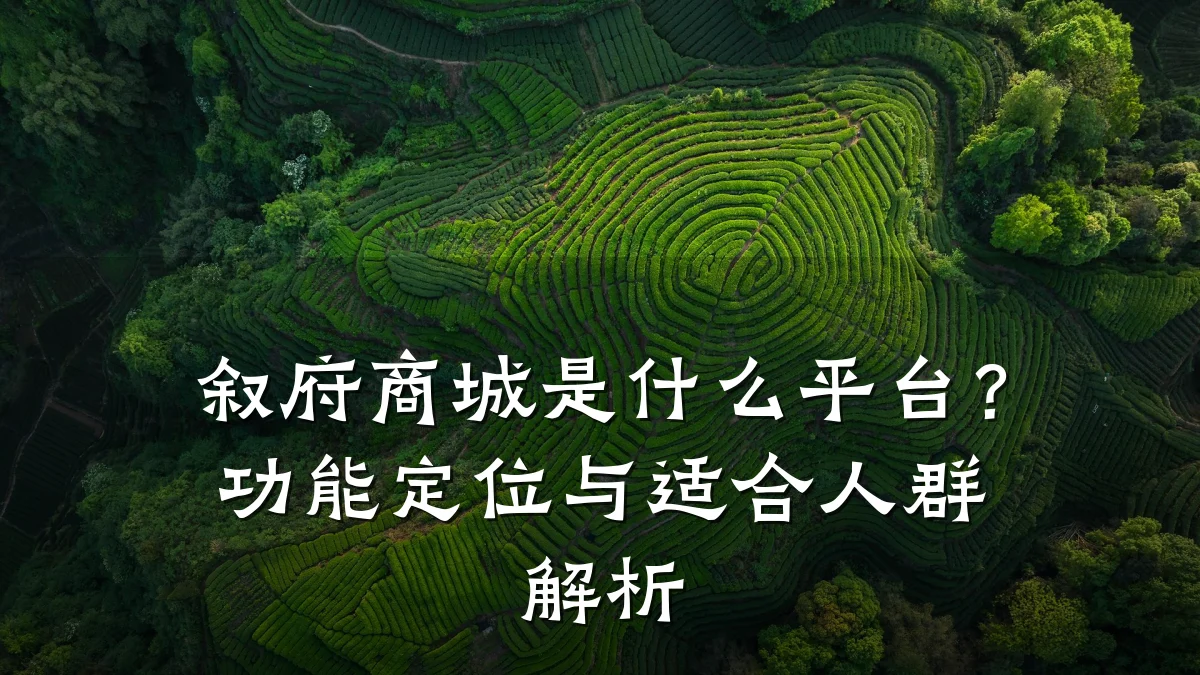 叙府商城是什么平台?功能定位与适合人群解析
