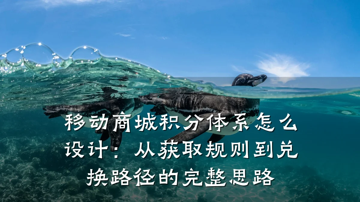 移动商城积分体系怎么设计:从获取规则到兑换路径的完整思路