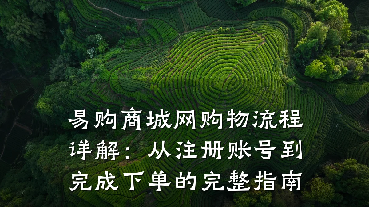 易购商城网购物流程详解：从注册账号到完成下单的完整指南