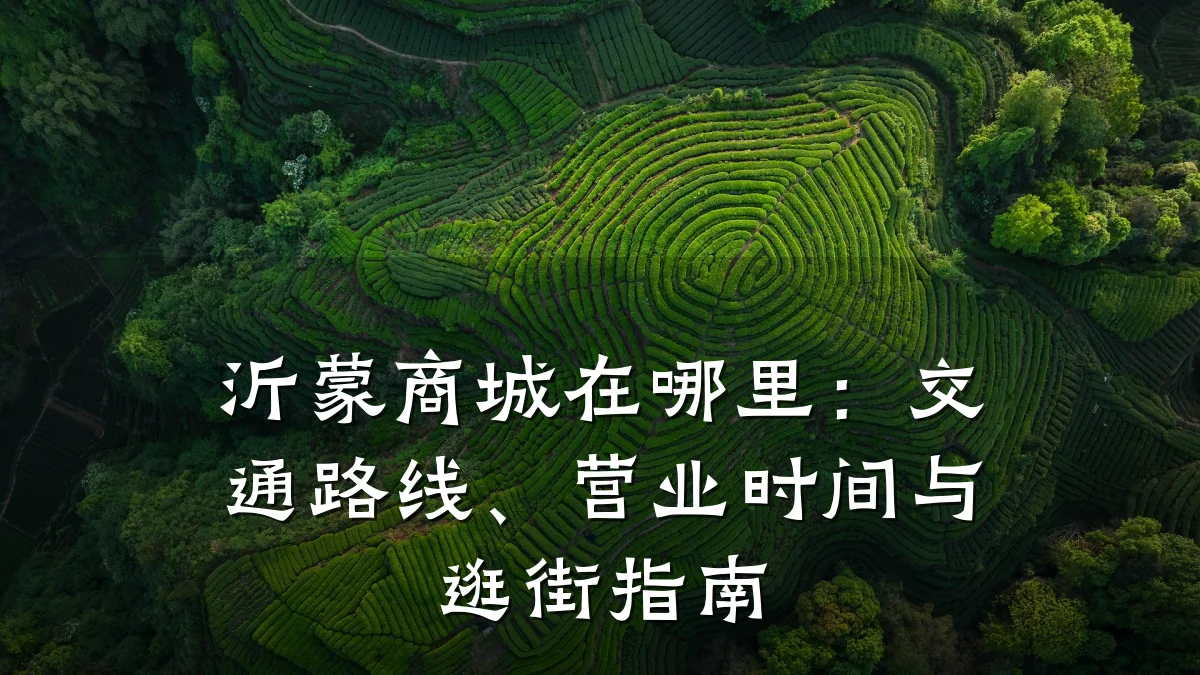 沂蒙商城在哪里：交通路线、营业时间与逛街指南