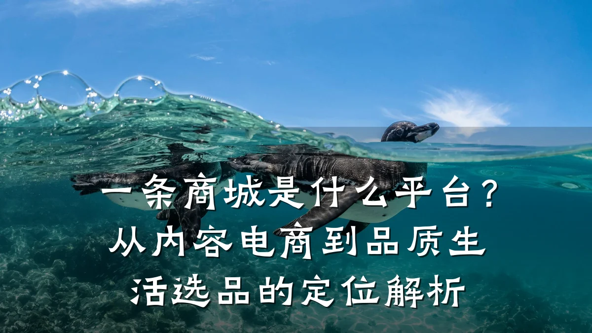 一条商城是什么平台?从内容电商到品质生活选品的定位解析