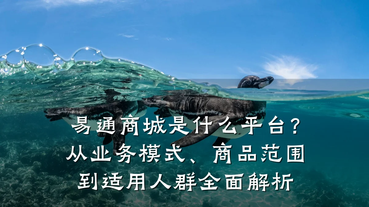 易通商城是什么平台?从业务模式、商品范围到适用人群全面解析