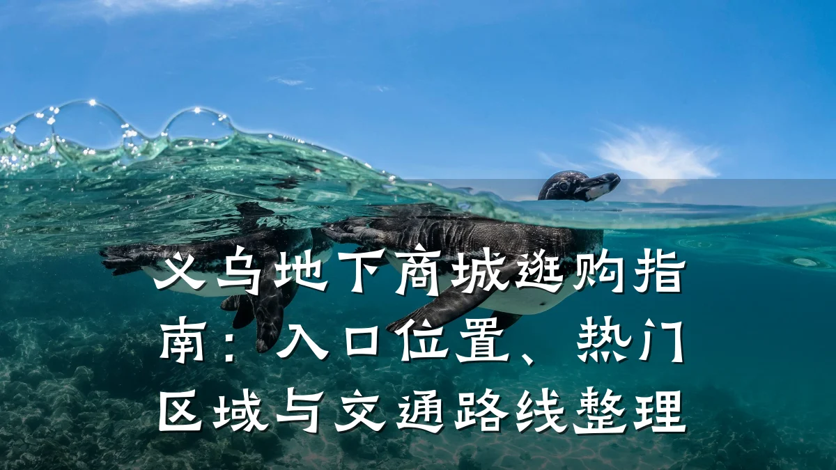 义乌地下商城逛购指南:入口位置、热门区域与交通路线整理