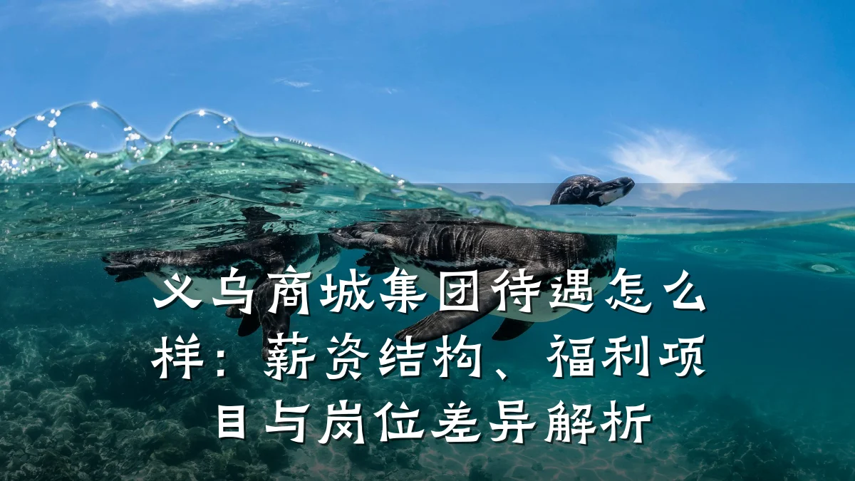 义乌商城集团待遇怎么样:薪资结构、福利项目与岗位差异解析