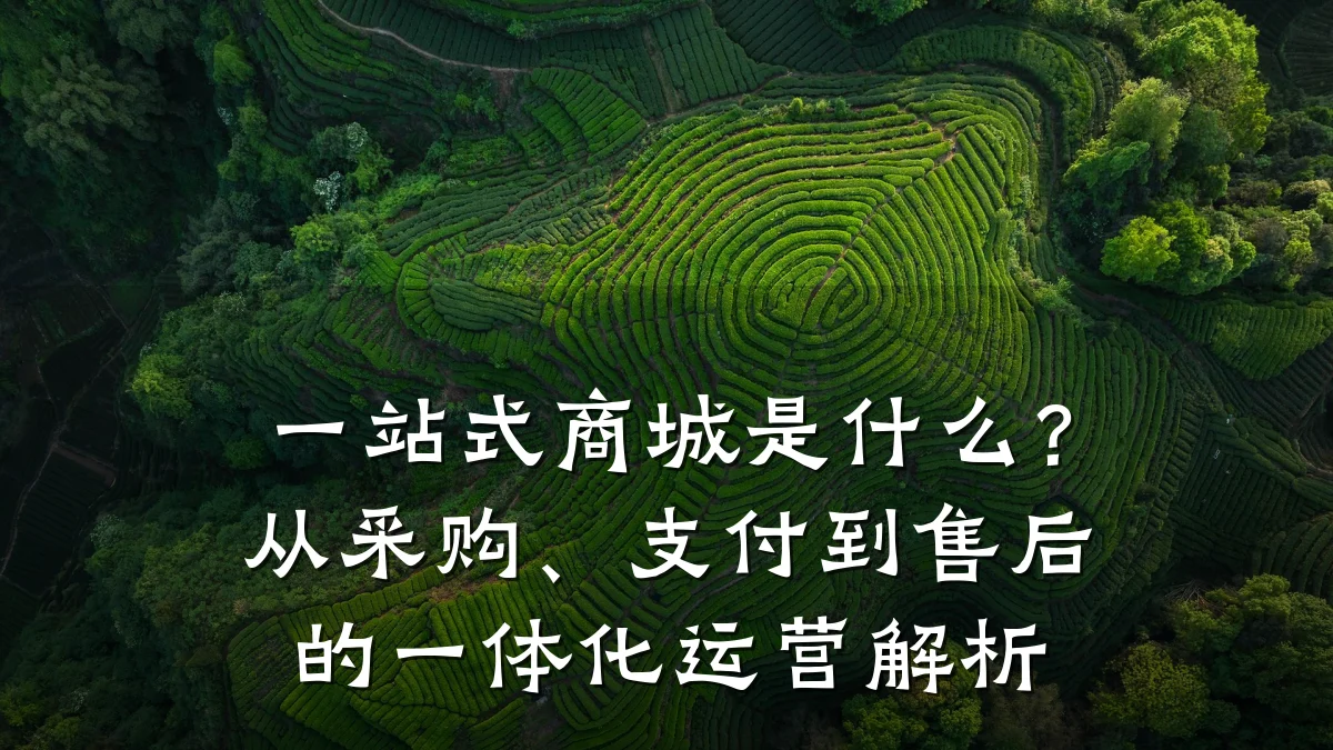 一站式商城是什么？从采购、支付到售后的一体化运营解析