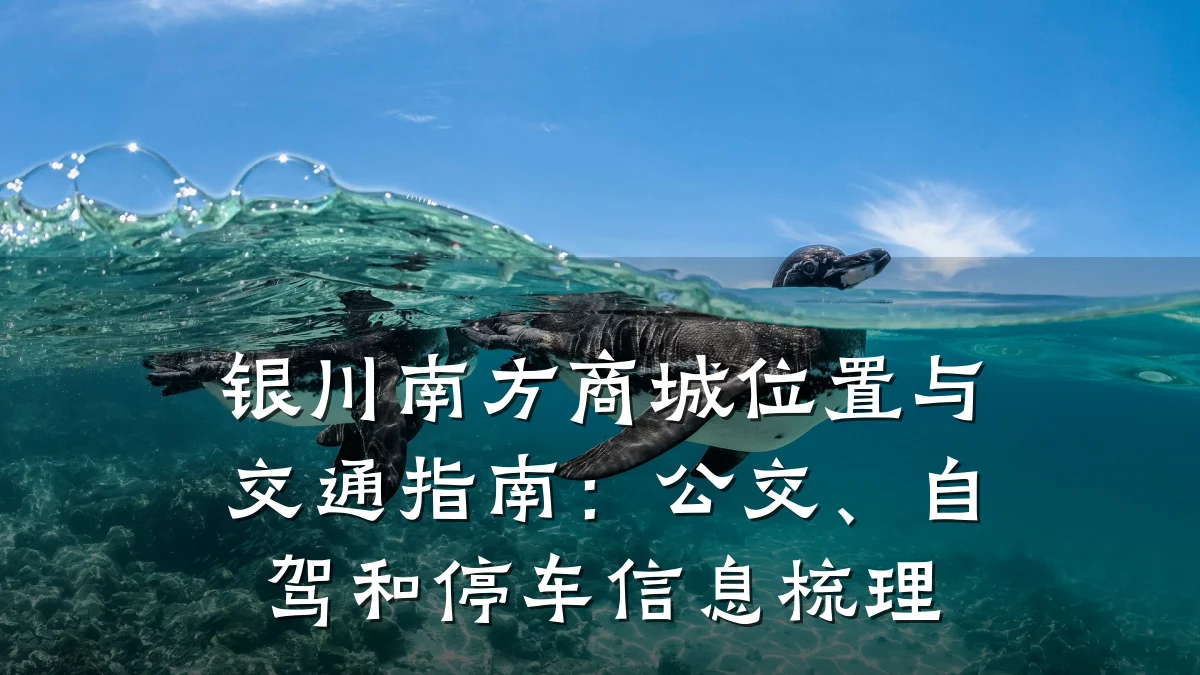 银川南方商城位置与交通指南:公交、自驾和停车信息梳理