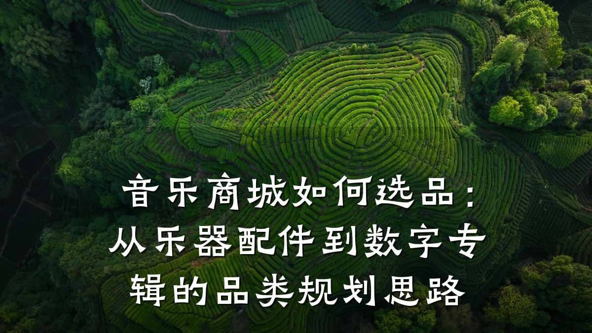 音乐商城如何选品：从乐器配件到数字专辑的品类规划思路
