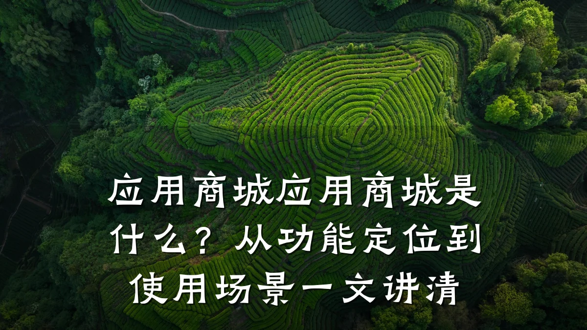 应用商城应用商城是什么？从功能定位到使用场景一文讲清