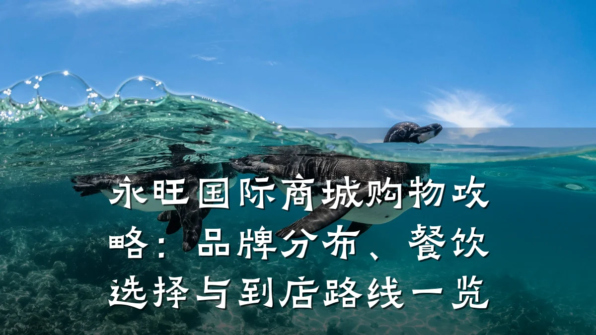 永旺国际商城购物攻略:品牌分布、餐饮选择与到店路线一览