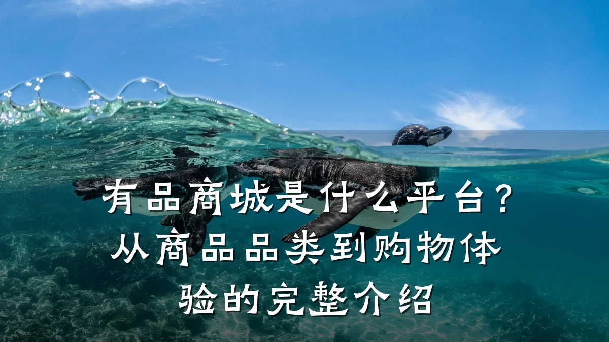 有品商城是什么平台?从商品品类到购物体验的完整介绍