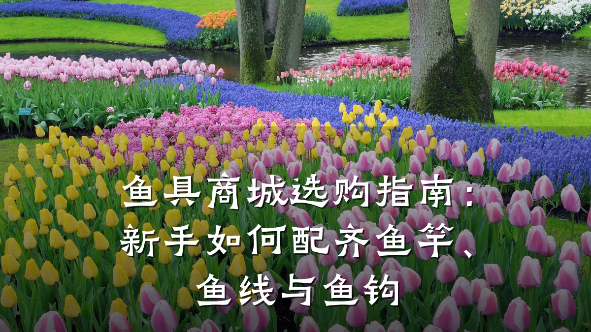 鱼具商城选购指南:新手如何配齐鱼竿、鱼线与鱼钩
