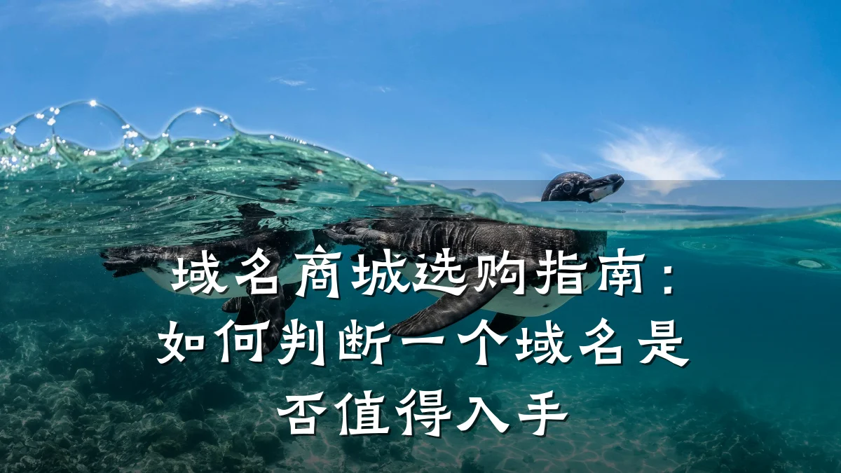 域名商城选购指南：如何判断一个域名是否值得入手
