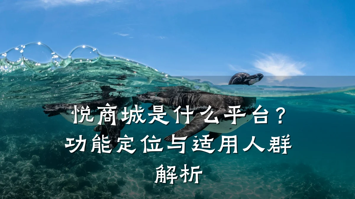 悦商城是什么平台？功能定位与适用人群解析