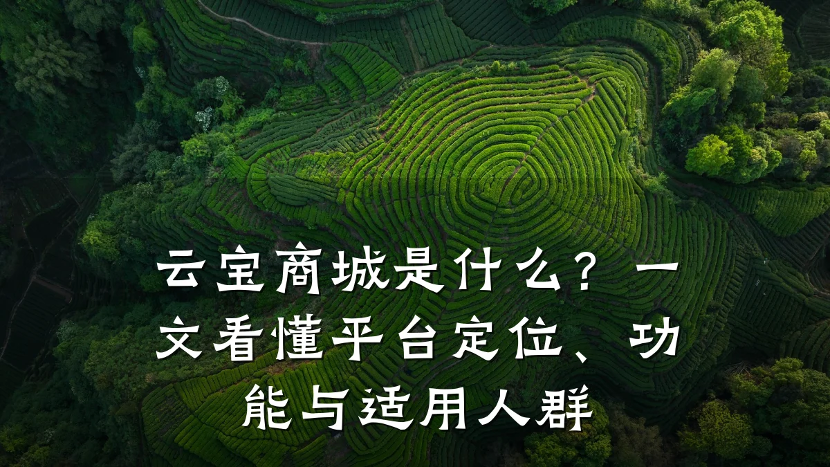 云宝商城是什么？一文看懂平台定位、功能与适用人群