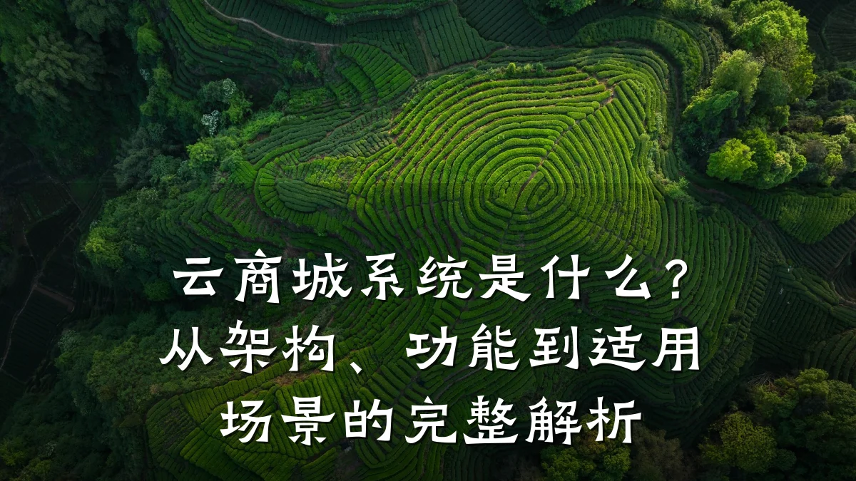 云商城系统是什么？从架构、功能到适用场景的完整解析
