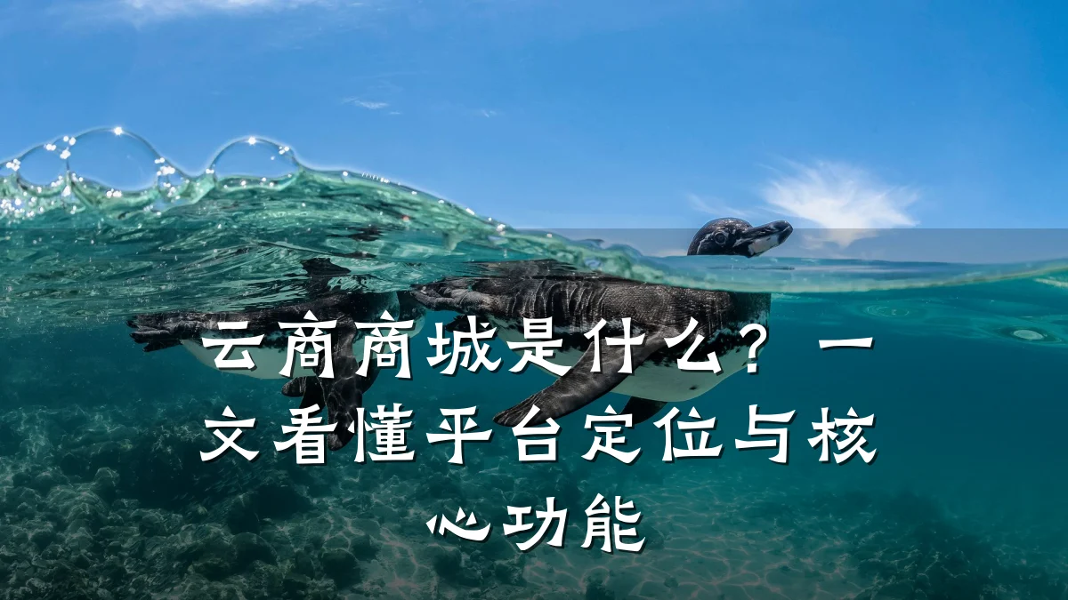 云商商城是什么？一文看懂平台定位与核心功能