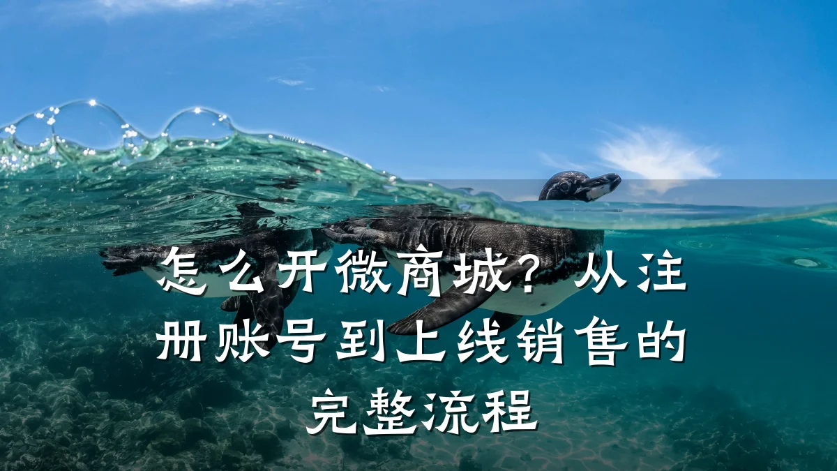 怎么开微商城？从注册账号到上线销售的完整流程