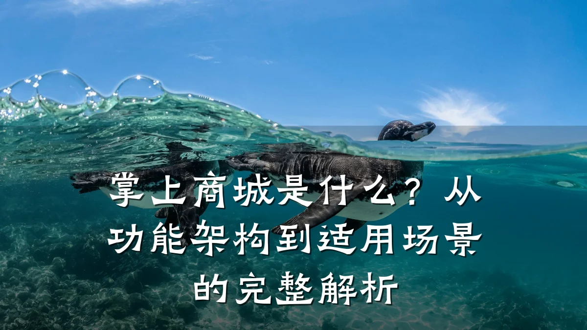 掌上商城是什么?从功能架构到适用场景的完整解析