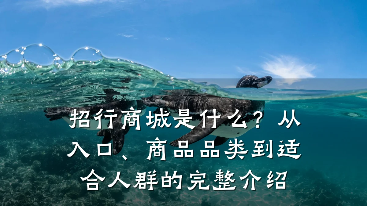 招行商城是什么?从入口、商品品类到适合人群的完整介绍