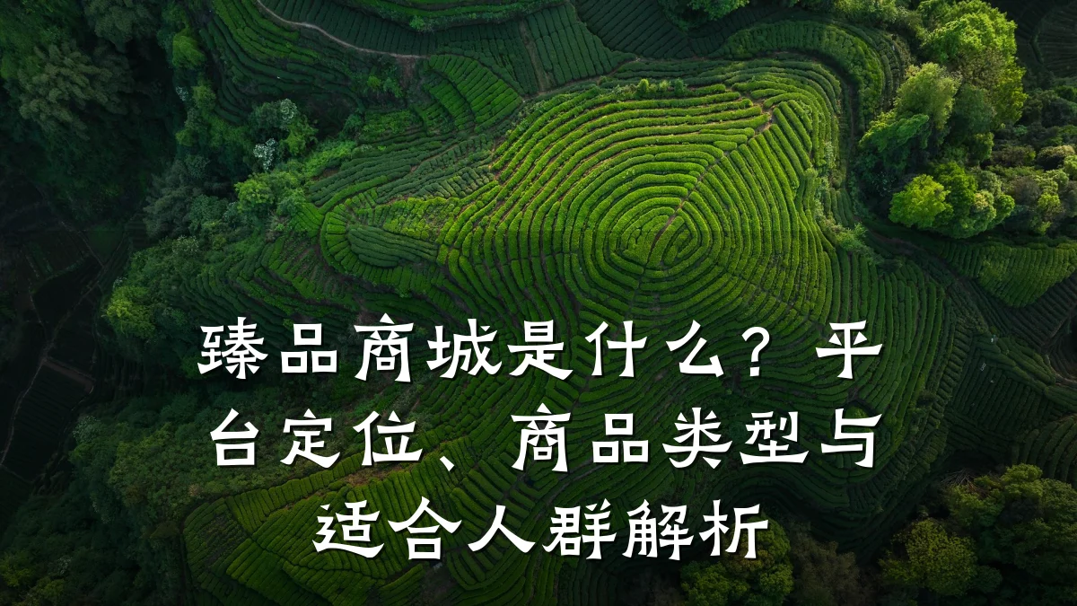 臻品商城是什么？平台定位、商品类型与适合人群解析