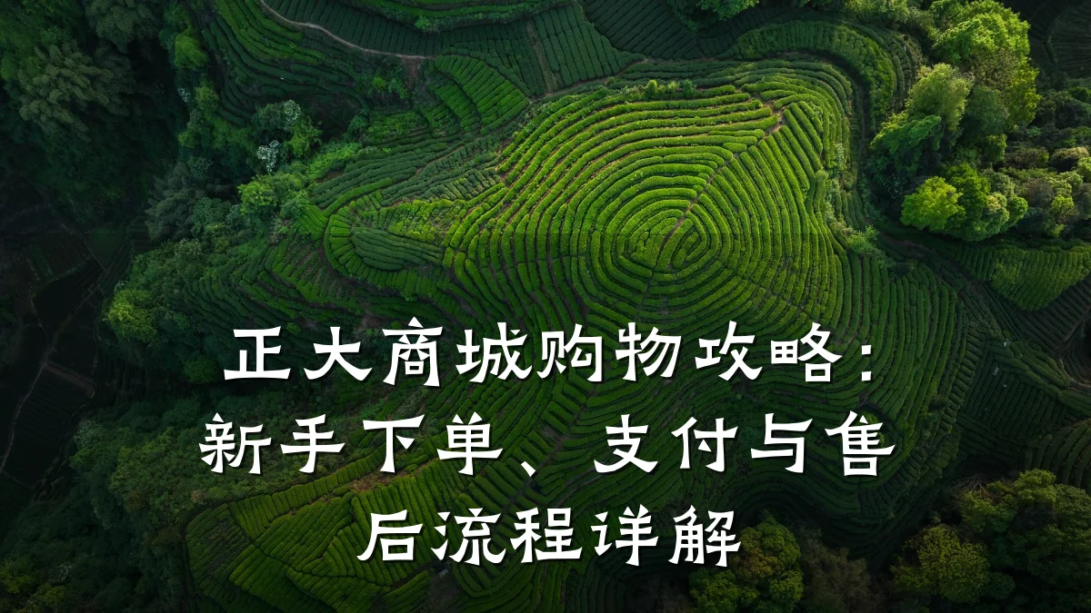 正大商城购物攻略:新手下单、支付与售后流程详解