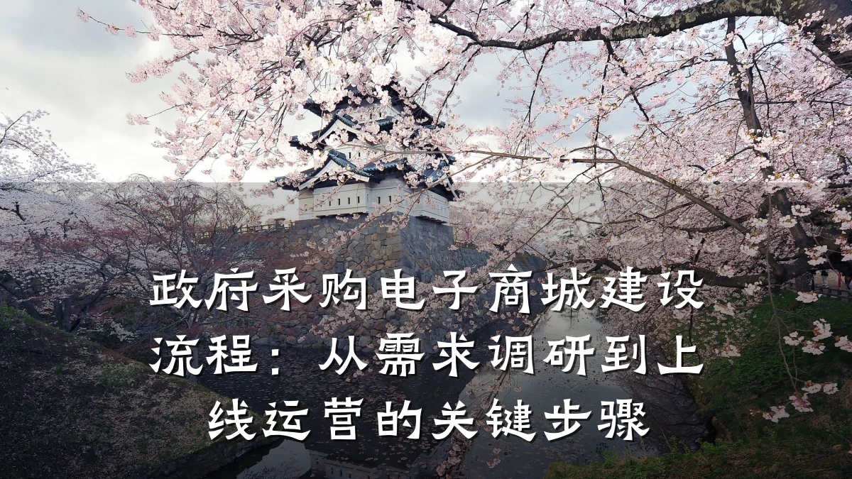 政府采购电子商城建设流程：从需求调研到上线运营的关键步骤