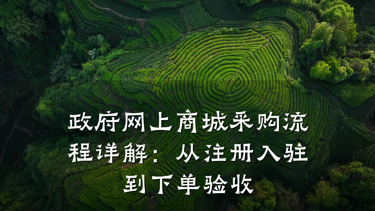 政府网上商城采购流程详解：从注册入驻到下单验收