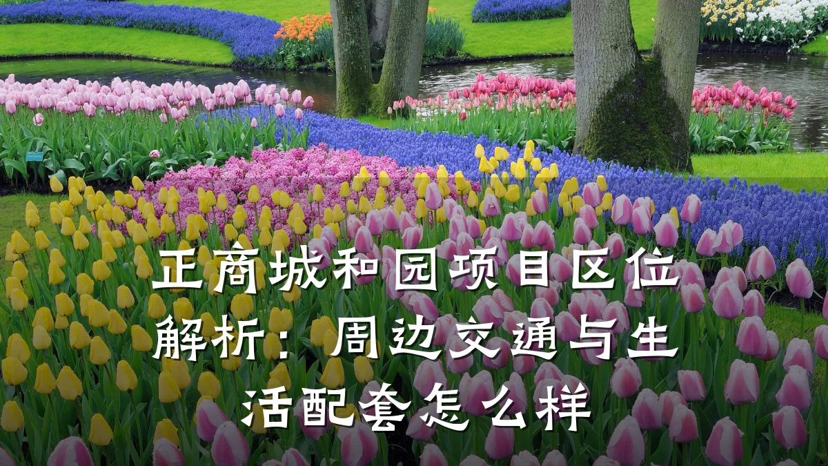 正商城和园项目区位解析：周边交通与生活配套怎么样