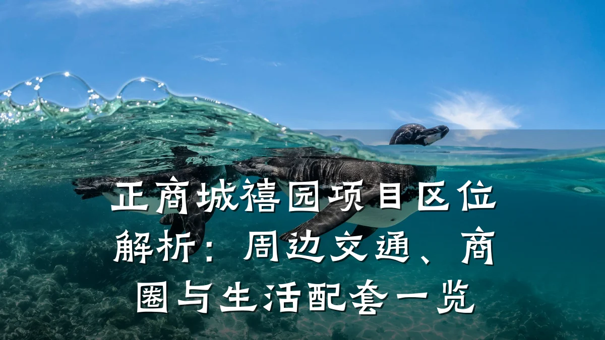 正商城禧园项目区位解析：周边交通、商圈与生活配套一览