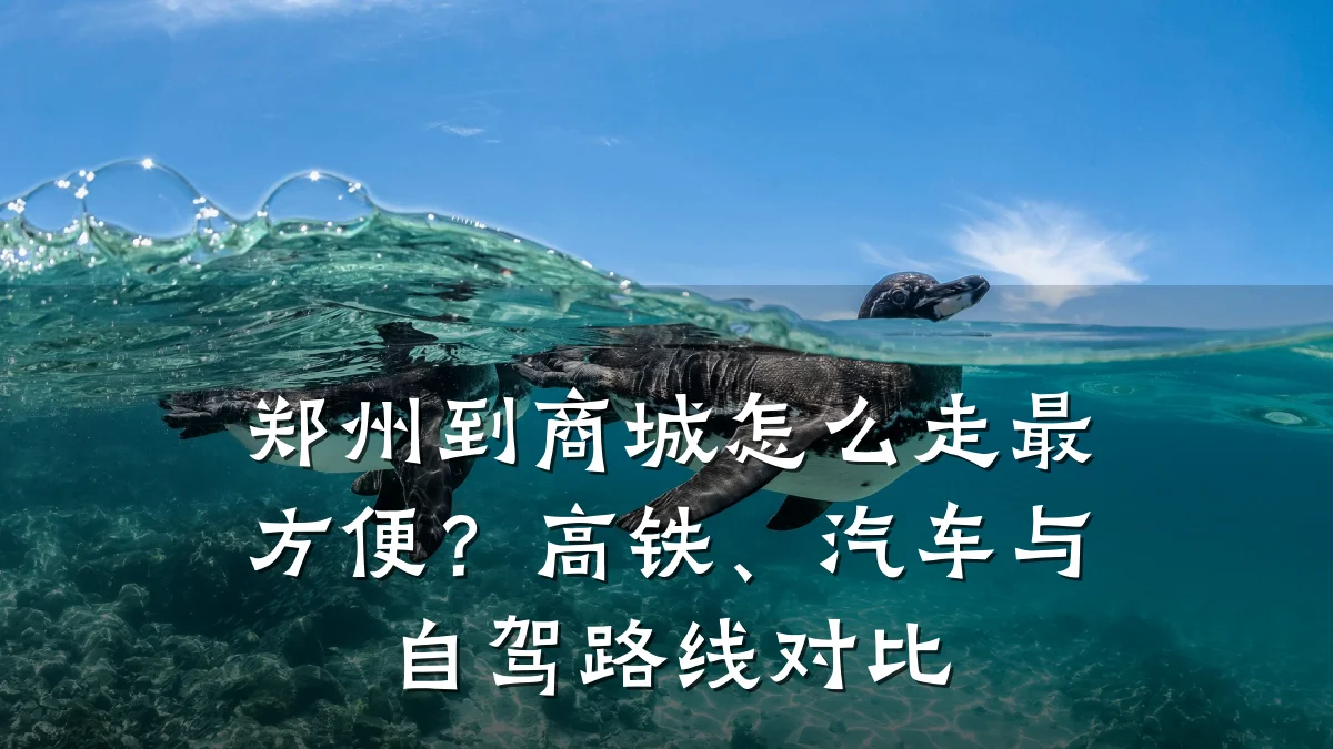郑州到商城怎么走最方便？高铁、汽车与自驾路线对比