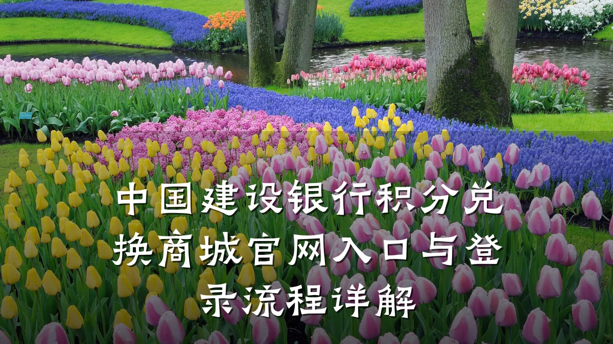 中国建设银行积分兑换商城官网入口与登录流程详解