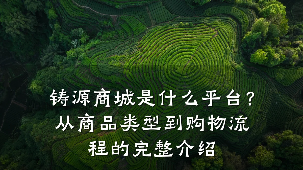 铸源商城是什么平台？从商品类型到购物流程的完整介绍