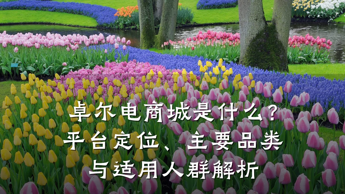 卓尔电商城是什么?平台定位、主要品类与适用人群解析