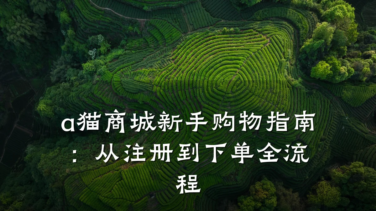 a猫商城新手购物指南:从注册到下单全流程