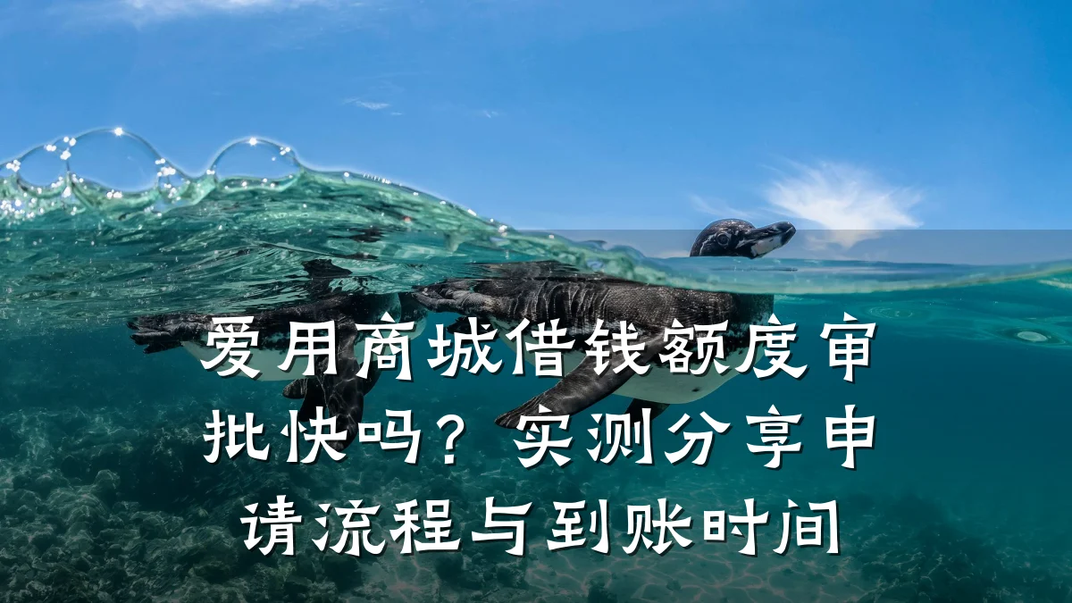 爱用商城借钱额度审批快吗?实测分享申请流程与到账时间