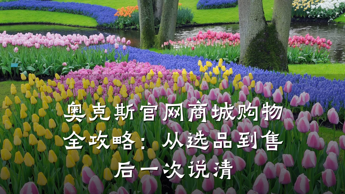 奥克斯官网商城购物全攻略：从选品到售后一次说清