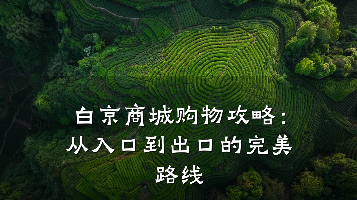 白京商城购物攻略：从入口到出口的完美路线