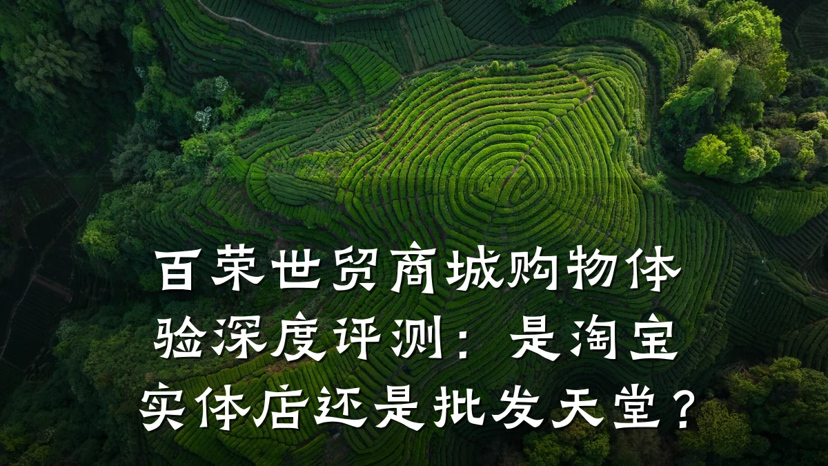 百荣世贸商城购物体验深度评测：是淘宝实体店还是批发天堂？