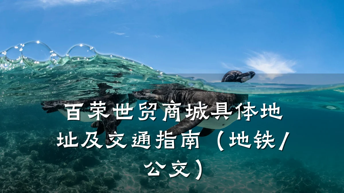 百荣世贸商城具体地址及交通指南（地铁/公交）