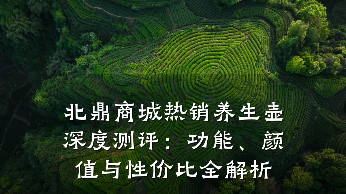 北鼎商城热销养生壶深度测评：功能、颜值与性价比全解析
