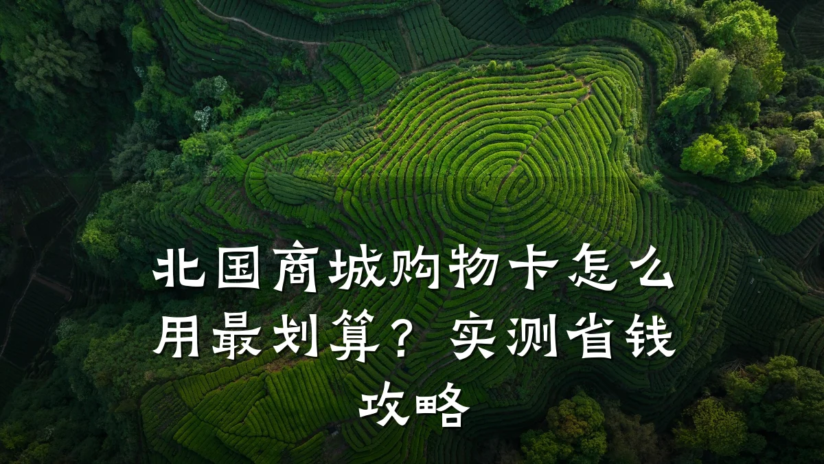 北国商城购物卡怎么用最划算?实测省钱攻略