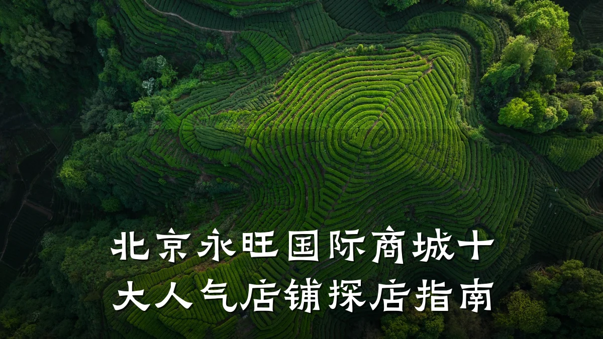 北京永旺国际商城十大人气店铺探店指南