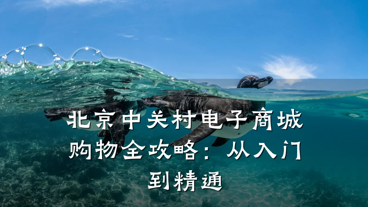 北京中关村电子商城购物全攻略：从入门到精通