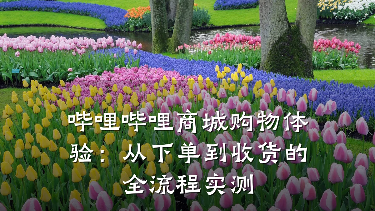 哔哩哔哩商城购物体验:从下单到收货的全流程实测