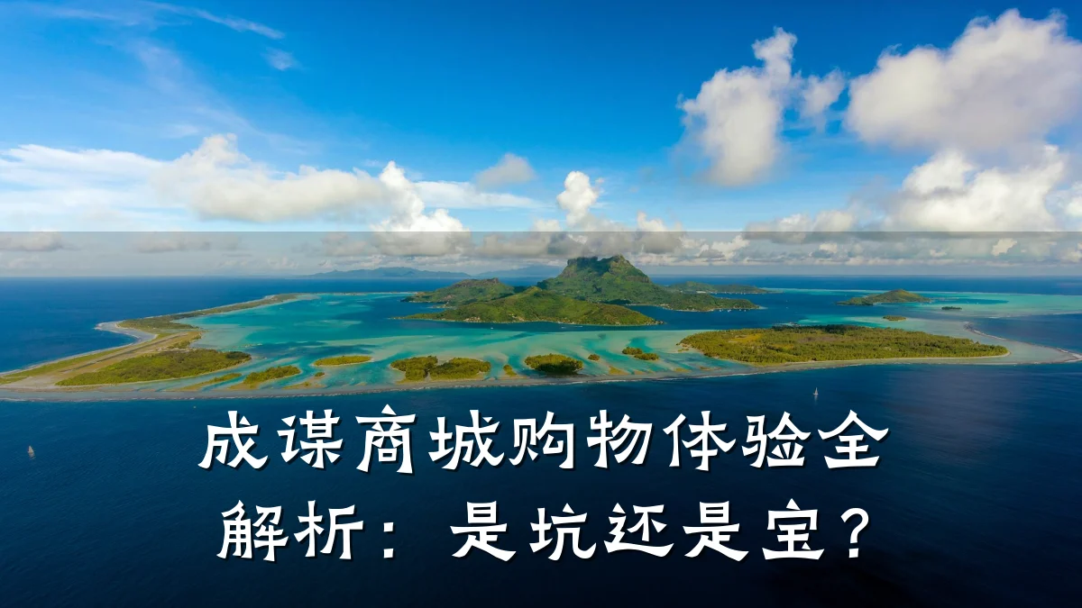 成谋商城购物体验全解析：是坑还是宝？