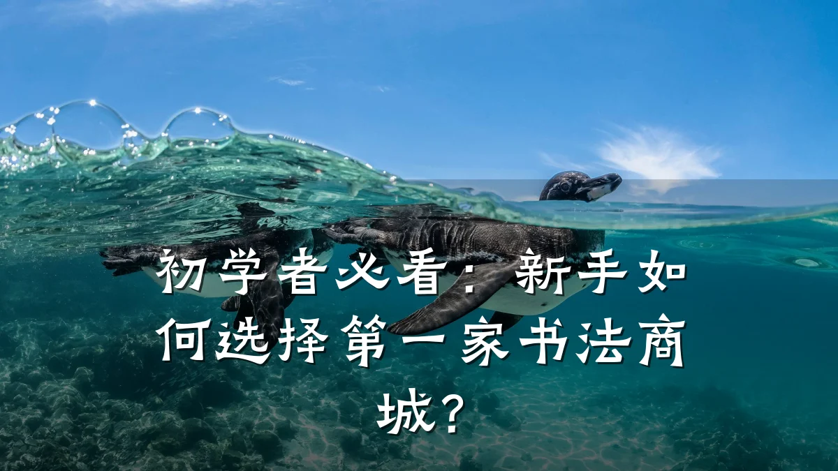 初学者必看：新手如何选择第一家书法商城？